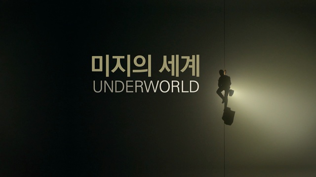 미지의 세계